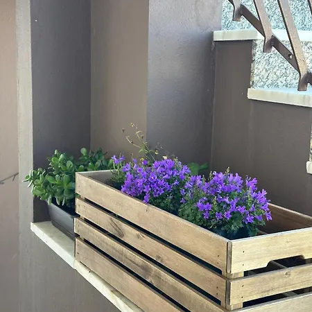 Mj Guest House Gæstehus 4*