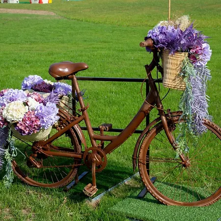 Mj بوفوُ جي فارزيم