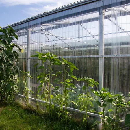 بيت ضيافة Mj