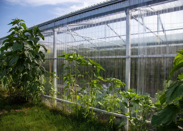 בית הארחה Mj